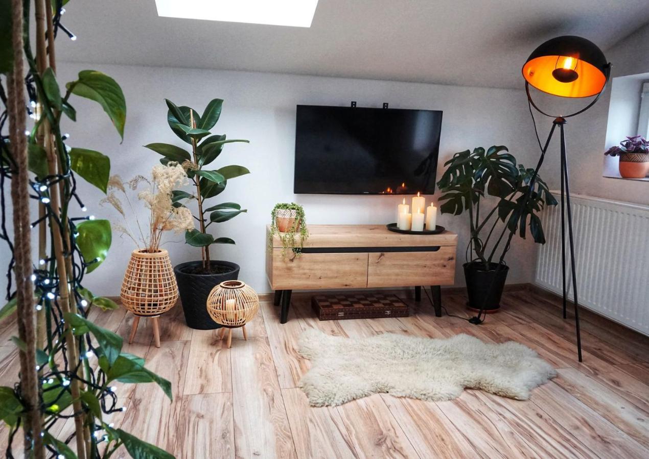 Loft Zulawy, Apartament Na Wylacznosc Nowy Dwór Gdański Exterior foto